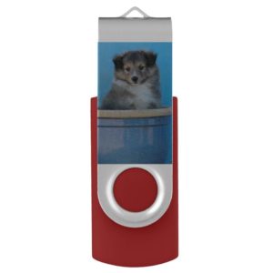 Sheltie Puppies USB Flash Drive