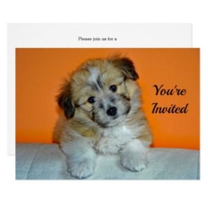 Sheltie Puppy Birthday Invitation