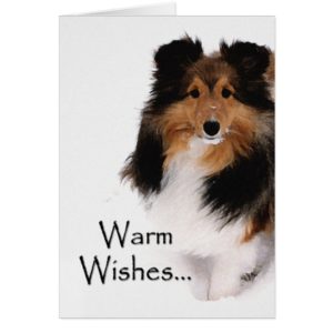 Sheltie Warm Wishes