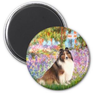 Shetland Sheepdog 7 - Garden Magnet