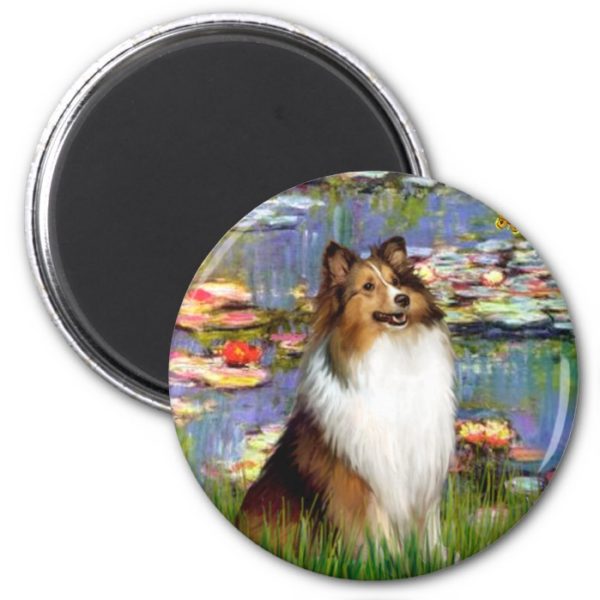 Shetland Sheepdog (Bz) - Lilies 2 Magnet