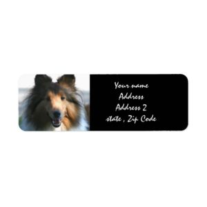 Shetland Sheepdog Label