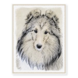 Shetland Sheepdog Painting - Cute Original Dog Art Temporary Tattoos