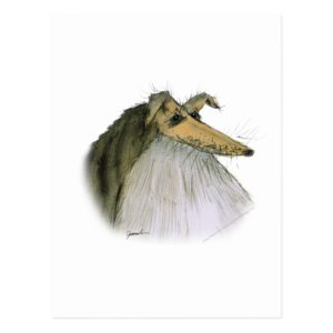 Shetland Sheepdog, tony fernandes Postcard