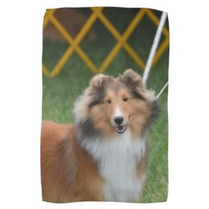 Shetland Sheepdog Towel