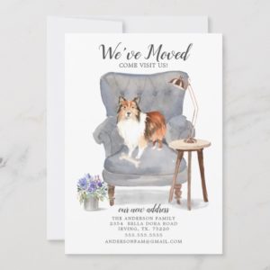 Shetland Sheepdog We've Moved Moving Announcement