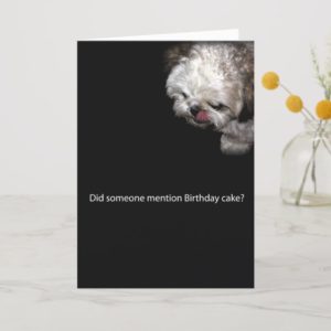Shih-Tzu Birthday Card