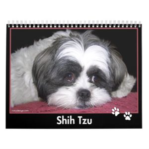 Shih Tzu Calendar