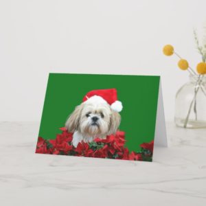 Shih Tzu  Christmas Holiday Card