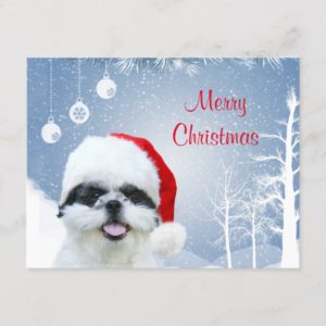 Shih Tzu Christmas Holiday Postcard