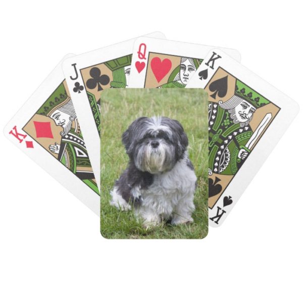 Shih Tzu dog beautiful photo portrait, gift Bicycle Playing Cards