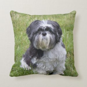 Shih Tzu dog cute beautiful photo cushion pillow