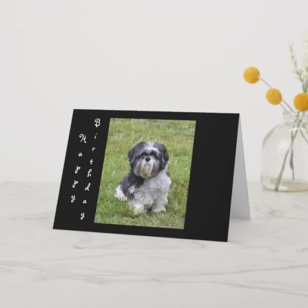 Shih Tzu dog cute happy birthday greeting card