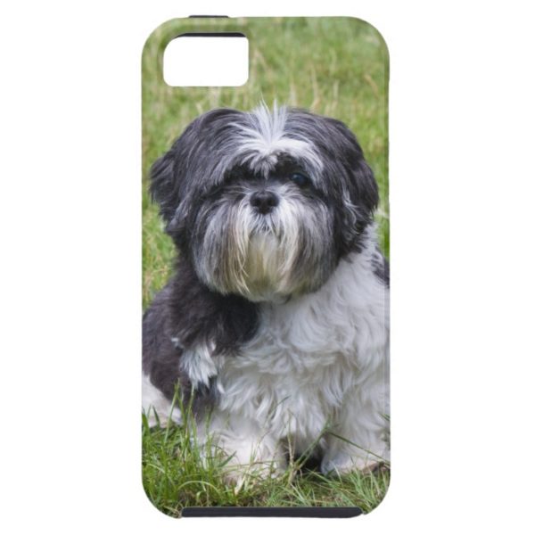 Shih Tzu dog cute photo iphone 5 case mate tough