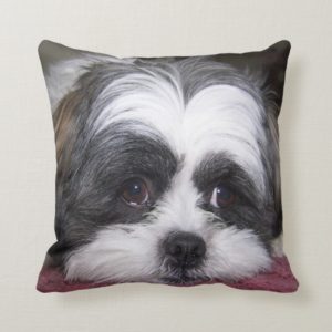 Shih Tzu Dog Throw Pillow
