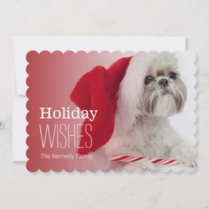 Shih Tzu dog wearing a Santa Claus hat Holiday Card