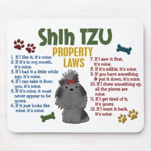 Shih Tzu Property Laws 4 Mouse Pad
