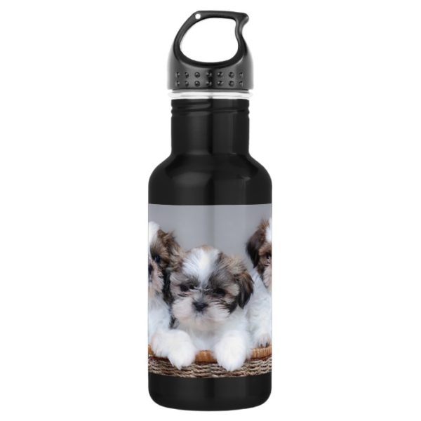 Shih Tzu puppies Stainless Steel Water Bottle