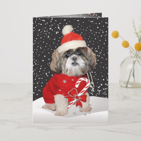 Shih Tzu Santa Season Greetings Cards