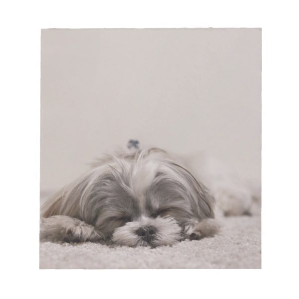 Shih tzu Sleeping Notepad , Sleeping Dog