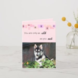 Siberian Husky Birthday Card