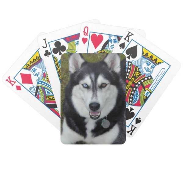 Siberian Husky Blue Brown Eyes Bicycle Playing Cards