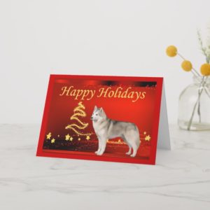 Siberian Husky Christmas Card Stars