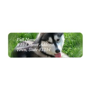 Siberian Husky Dog Mailing Label
