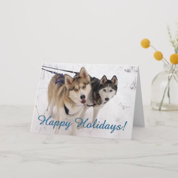 Siberian Husky Holiday Card