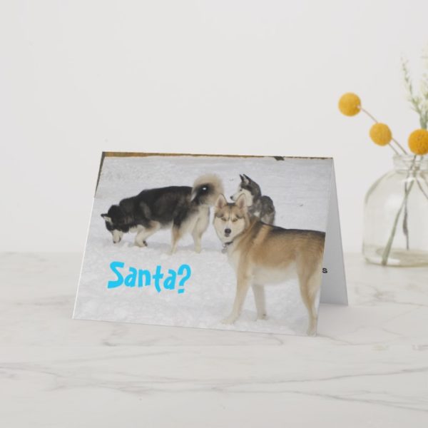 Siberian Husky Holiday Christmas Card