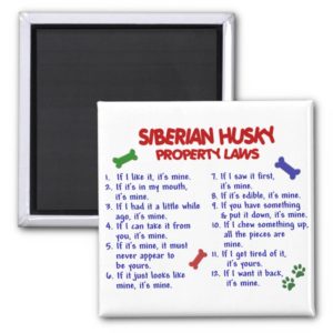 SIBERIAN HUSKY Property Laws 2 Magnet
