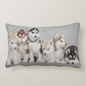 Siberian Husky Puppies on Throw Pillow