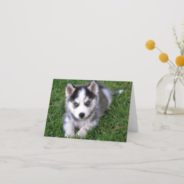 Siberian Husky Puppy Dog Blank Greeting Note Card