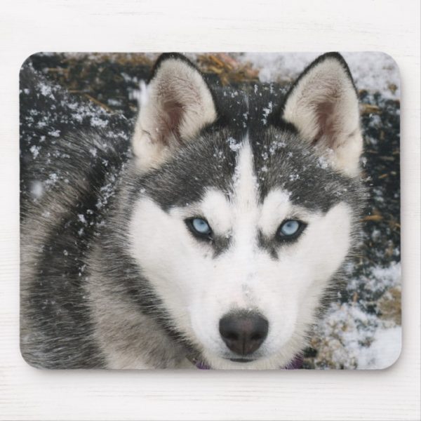 Siberian Husky Puppy Dog in Snow Mousepad
