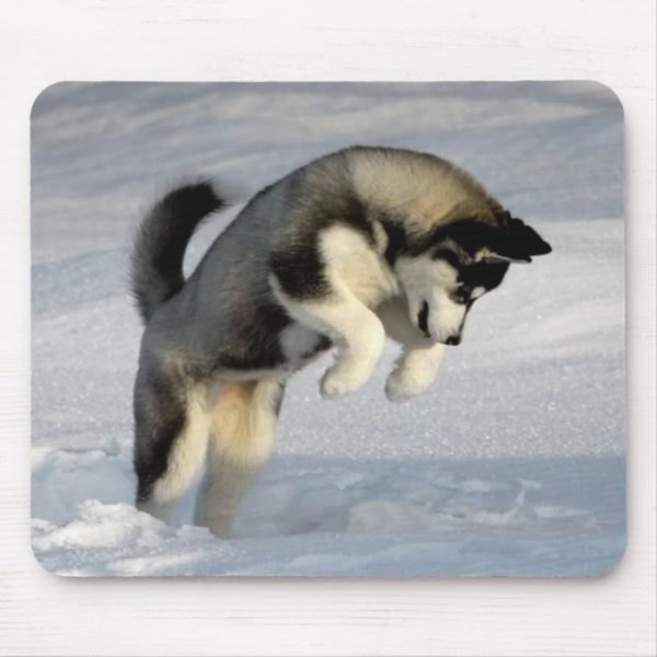 Siberian Husky puppy playing in the snow. Mouse Pad