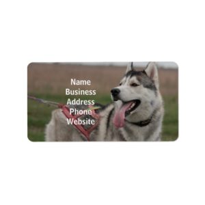 Siberian Husky sled dog Label