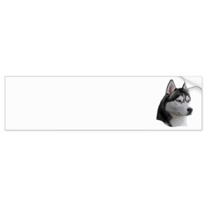 Siberian Husky - Stylized Image - Add Your Text Bumper Sticker