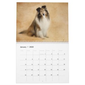 Simply Shelties Calendar