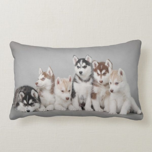 Six huskies lumbar pillow