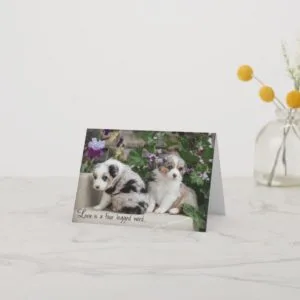 Sky Blue Aussies Notecard Puppies 1