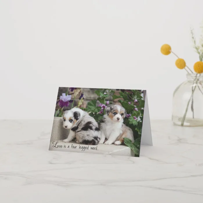 Sky Blue Aussies Notecard Puppies 1