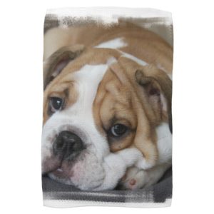 Sleeping Bulldog Towel
