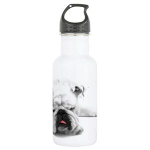 Sleeping English Bulldog Water Bottle