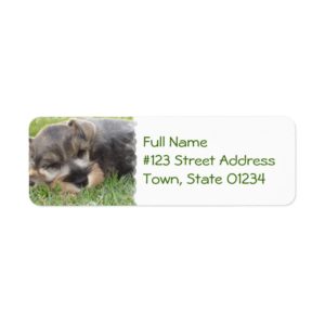 Sleeping Schnauzer Dog Mailing Label