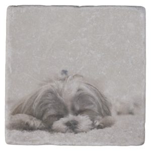 Sleeping Shih tzu Coaster, Sleeping Dog Stone Coaster