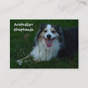 Smiling Australian Shepherd  Business Card