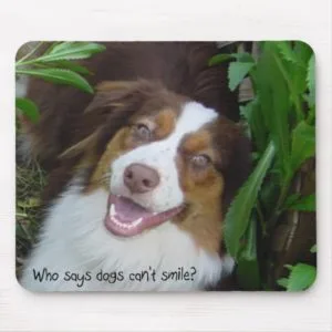Smiling Australian Shepherd dog Mousepad