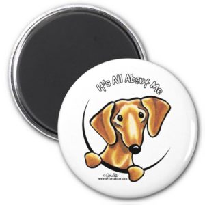 Smooth Red Dachshund Its All About Me Magnet