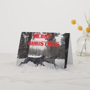 Snow Christmas Dobermans Holiday Card