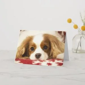 Snowflake Cavalier King Charles Spaniel Card